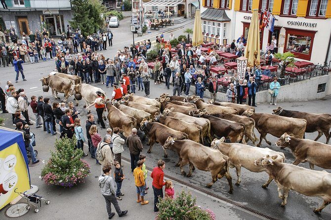 Appenzell and Liechtenstein Tour from Zurich - An In-Depth Look at the Appenzell and Liechtenstein Experience