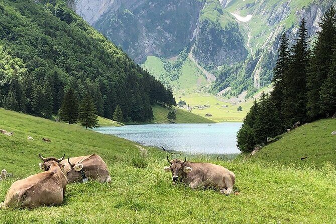 Appenzell, Laderach, Liechtenstein & Vaduz Day Trip from Zürich - FAQ