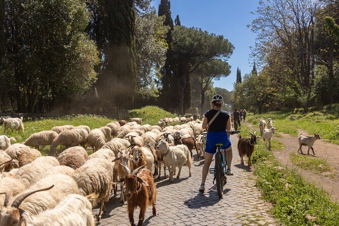 Appian Way and Aqueducts Biking Guided Tour - Price, Value, and Practical Considerations