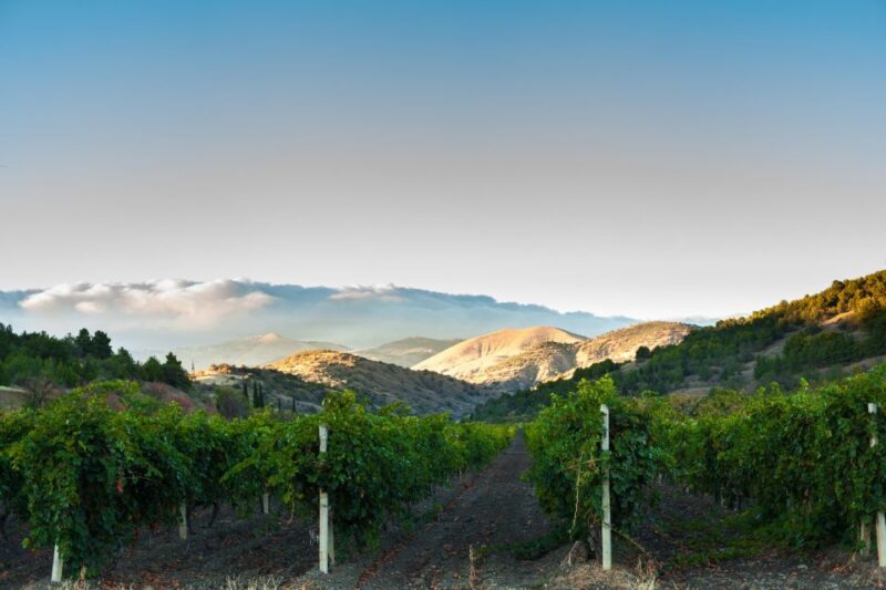 Apple Hill/Carson Road Digital Wine Tasting Passport - A Deeper Look at the Apple Hill/Carson Road Digital Wine Tasting Passport