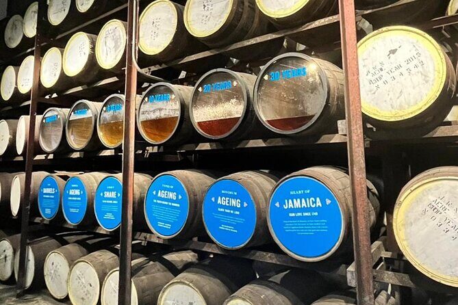 Appleton Estate Rum Tasting and YS Falls - Overview of the Tour: YS Falls and Appleton Rum Tasting