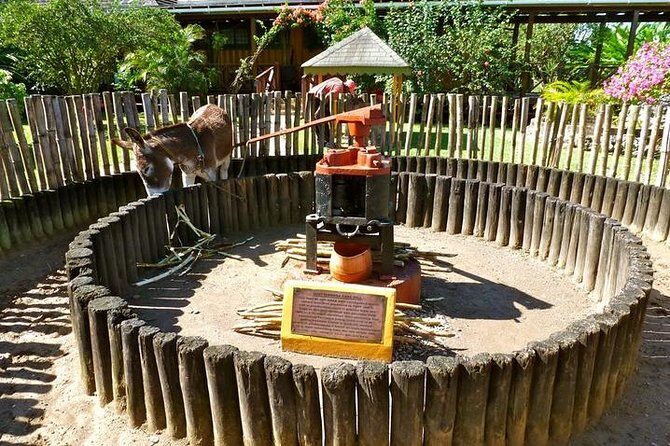 Appleton Estate Rum Tour and Tasting from Falmouth - Frequently Asked Questions (FAQs)