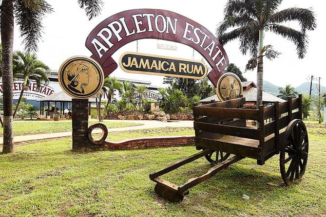 Appleton Estate Rum Tour and Tasting from Ocho Rios - The Experience: What to Expect from the Appleton Estate Rum Tour
