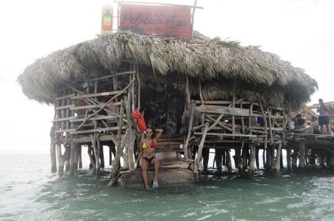 Appleton Estate Rum, YS Falls, Black River Safari / Floyd's Pelican Bar Tour - Final Thoughts: A Well-Rounded Jamaican Adventure