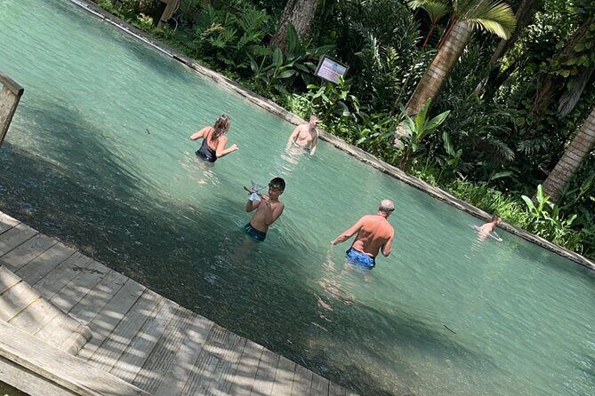 Appleton estate,YS Falls,Black River Safari,Pelican Bar(any 3of4) - FAQs