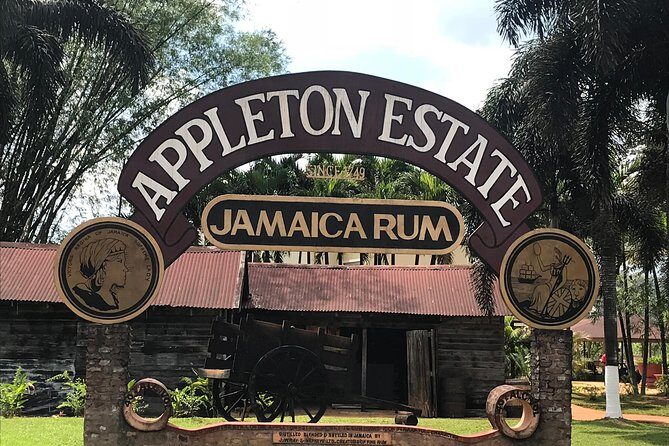 Appleton Rum Factory, YS Falls, and Reggae Horseback Ride & Swim Combo Tour - Experience the Best of Jamaica in One Day: Appleton Rum Factory, YS Falls, and More