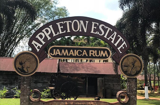 Appleton Rum Factory, YS Falls, and Reggae Horseback Ride & Swim Combo Tour - Practical Details and What to Expect