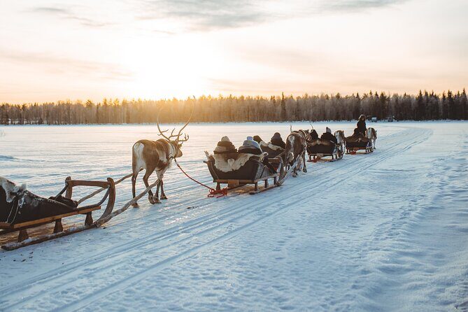 Apukka Reindeer Journey - Key Points