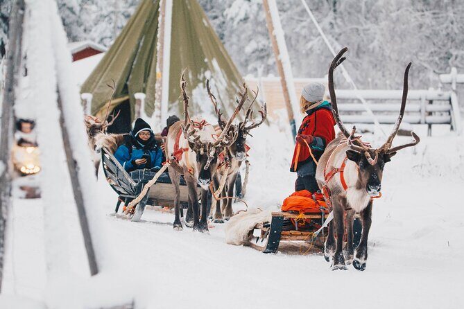 Apukka Reindeer Journey - Who Should Consider This Tour?
