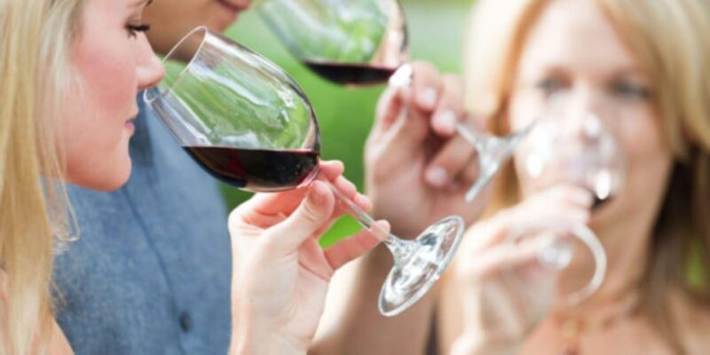 Apulia: Guided Vineyard Tour with Wine Tasting - Final Thoughts: Who Should Book This Tour?