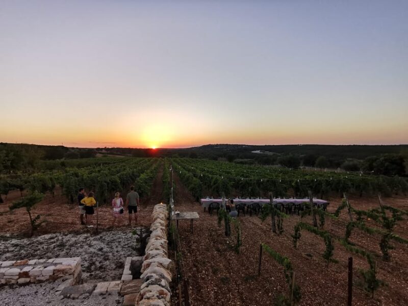 Apulia: Guided Wine Tasting with Local Appetizers - Apulia: Guided Wine Tasting with Local Appetizers – A Flavorful Journey
