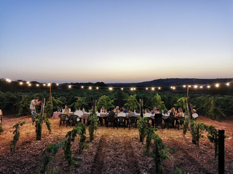 Apulia: Guided Wine Tasting with Local Appetizers - A Closer Look at the Experience