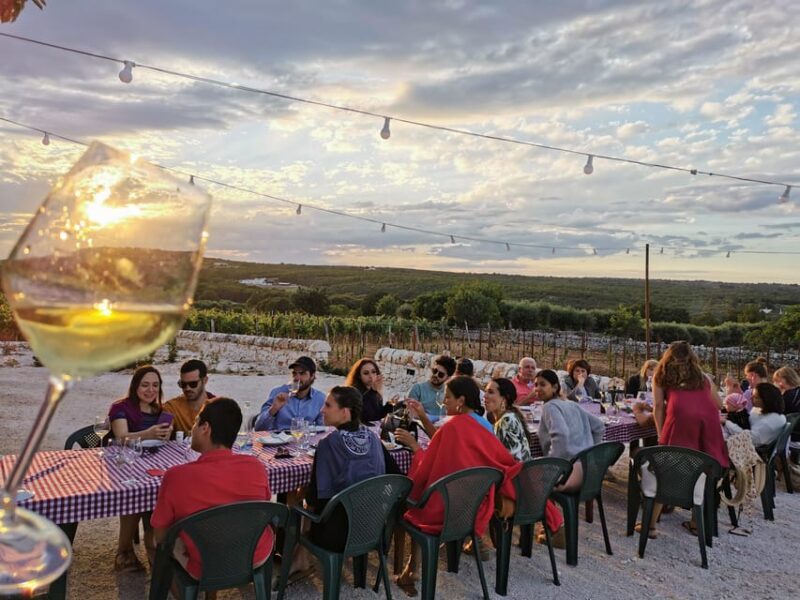 Apulia: Guided Wine Tasting with Local Appetizers - Final Thoughts: Who Will Love This Tour?
