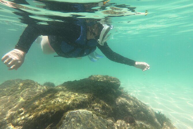 Aqua Aventura - diving for families - In-Depth Look at the Aqua Aventura Snorkeling Tour