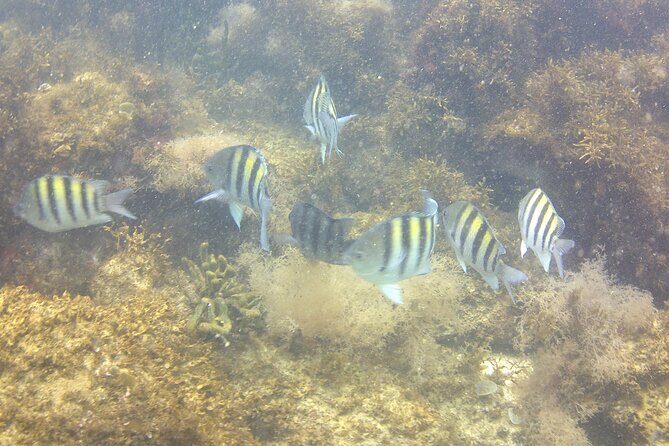 Aqua Aventura - diving for families - Frequently Asked Questions