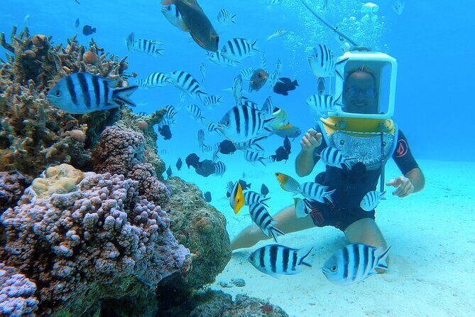 Aqua Safari Introductory Helmet Dive (Underwater Walk) - An In-Depth Look at the Bora Bora Helmet Dive Experience