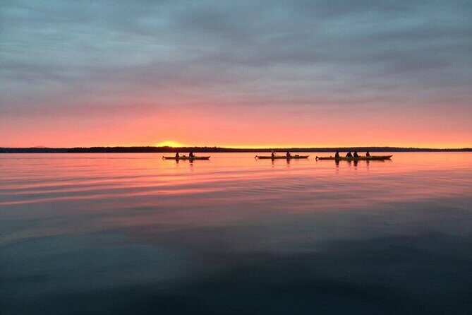 Aqua Safari Kayak tour departing Southwest Harbor - Who Will Love This Tour?