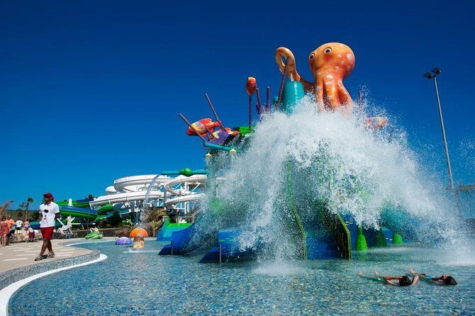 Aqualava Waterpark Lanzarote Entrance Ticket - Who Will Love This?