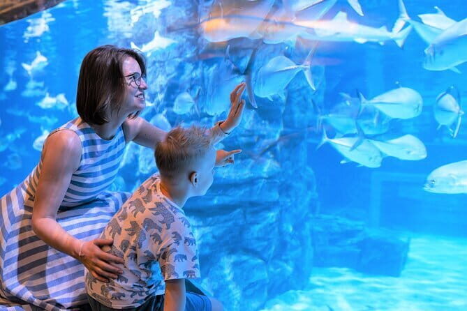 Aquaria Phuket and 4D Trickeye Museum Experience Ticket - Dive into Phuket’s Aquarium and 4D Trickeye Museum Experience