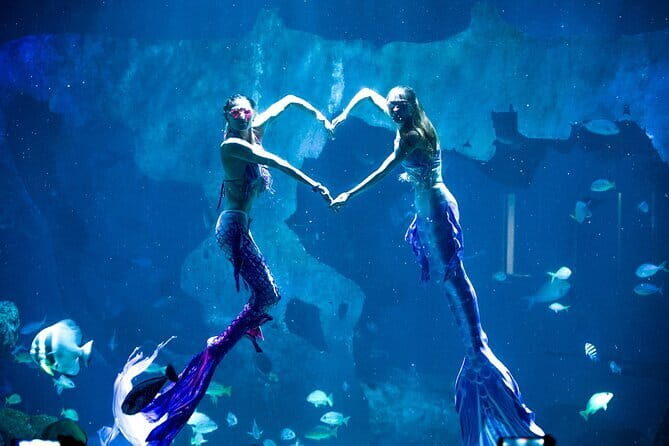 Aquaria Phuket and 4D Trickeye Museum Experience Ticket - Key Points