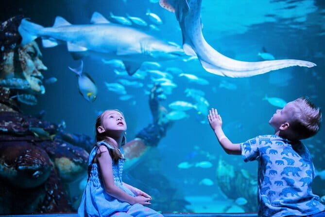 Aquaria Phuket and 4D Trickeye Museum Experience Ticket - Shows and Special Events
