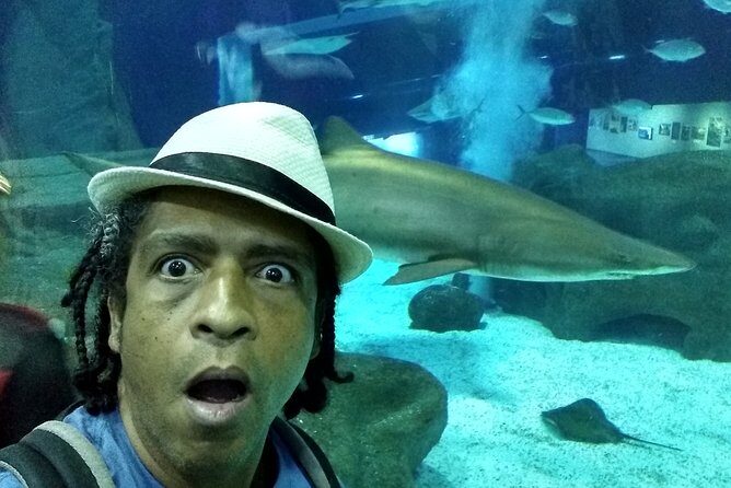 AquaRio + Olympic Boulevard + Transportation - Key Points