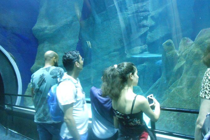 AquaRio + Olympic Boulevard + Transportation - The Sum Up