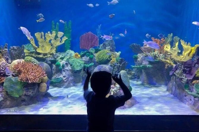 AquaRio Small Group Guided Tour with entrance and transfer - Who Is This Tour Best Suited For?