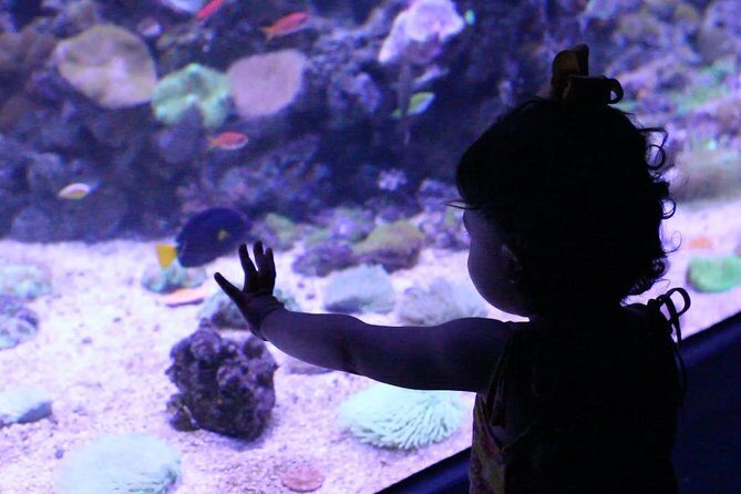 AquaRio Small Group Guided Tour with entrance and transfer - Why Choose This Tour?