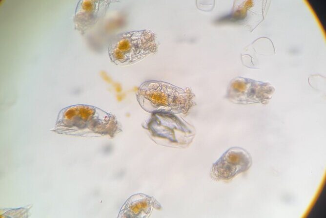 Aquarium Behind the Scenes at Sitka - What to Expect from the Sitka Behind-the-Scenes Tour