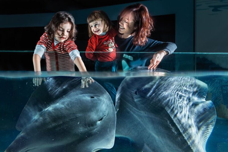 Aquarium of Cattolica Entry Ticket - Introduction: What’s the Aquarium of Cattolica All About?