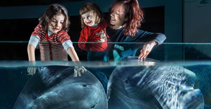 Aquarium of Cattolica Entry Ticket - The Sum Up: Who Will Love the Aquarium of Cattolica?