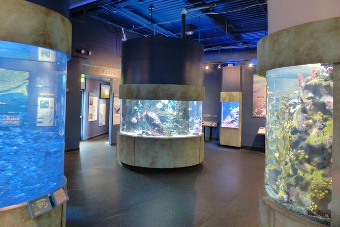 Aquarium of the Bay General Admission Ticket - Who Will Enjoy This Tour?