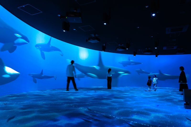 AQUARIUM PARK AOAO SAPPORO (Hokkaido) - Jellyfish, small creatures, and the gallery-like mood