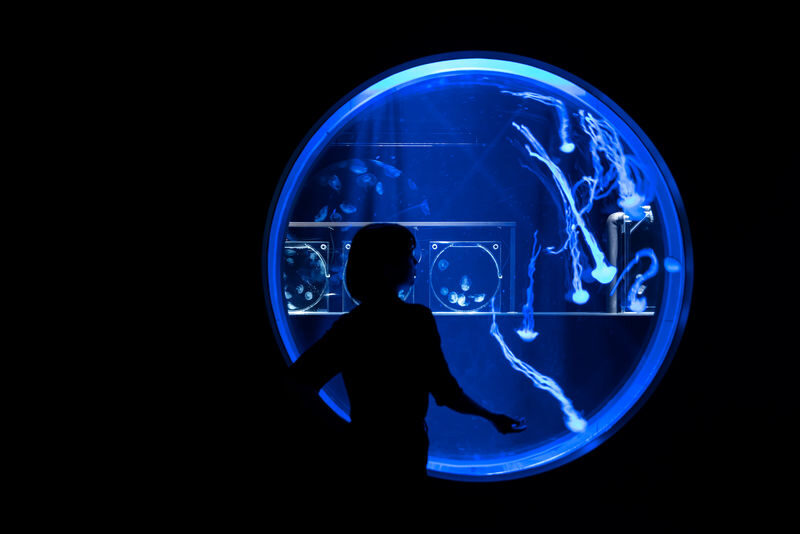 AQUARIUM PARK AOAO SAPPORO (Hokkaido) - Plan for an hour, or linger longer