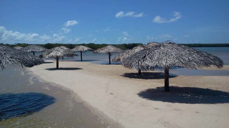 Aracaju: Tour To Croa Goré And Namorados Island - A Detailed Look at the Croa Goré and Ilha dos Namorados Tour