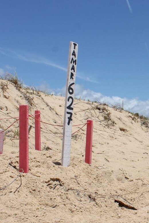 Aracaju: Tour to Saco Beach - Final Thoughts