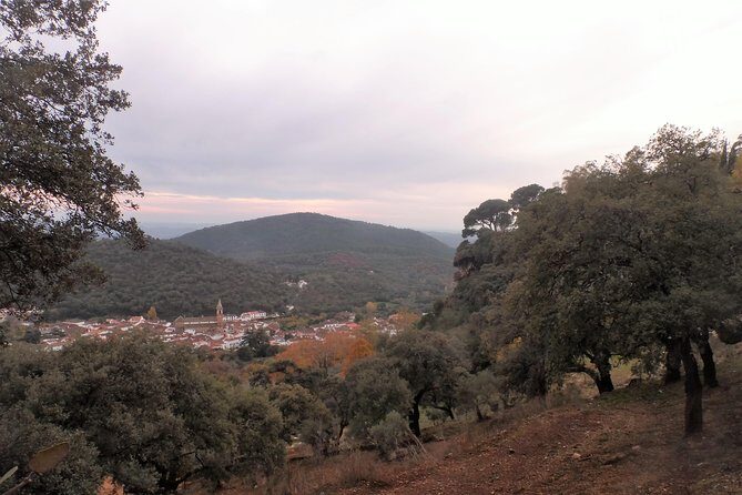 Aracena & Riotinto Mines Tour from Seville - Who will enjoy this tour?
