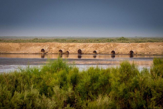 Aral Sea - Lost Paradise - FAQs