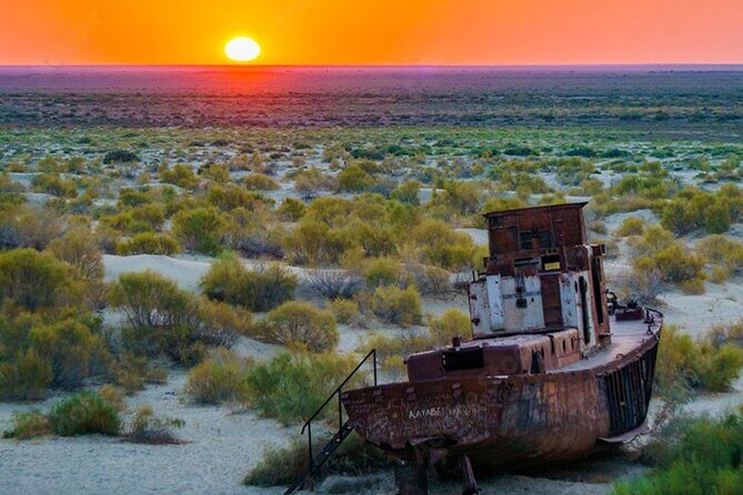 Aral Sea One Day Tour from Tashkent - The Full Breakdown of the Tour Experience