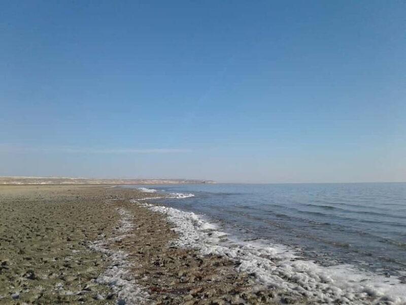 Aral Sea One Day Trip from Nukus. - Who Will Appreciate This Tour?