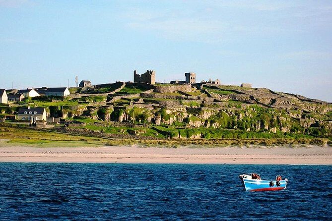 Aran Island, Cliffs of Moher & Cruise tour from Galway. Guided. - A Detailed Look at the Tour Experience