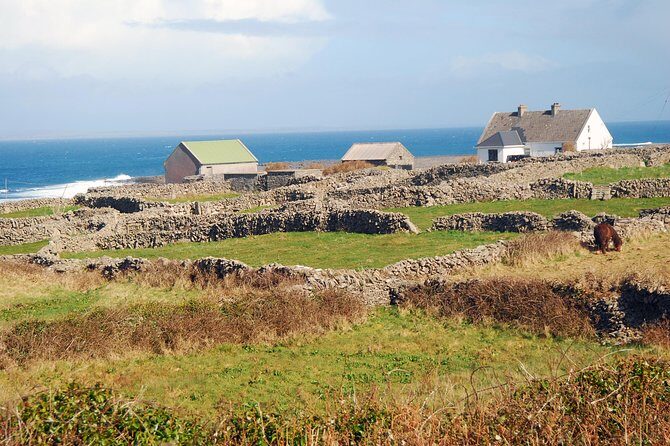 Aran Island, Cliffs of Moher & Cruise tour from Galway. Guided. - Final Thoughts