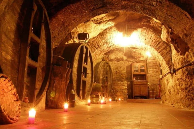 Aranda de Duero: Guided and Dramatized Visit to Medieval Wi - Introduction: A Unique Journey into Spain’s Wine and Medieval Past