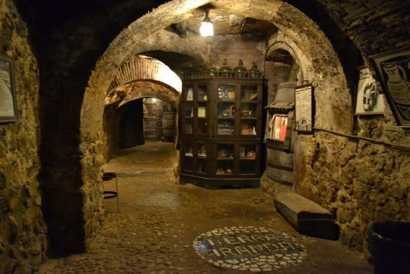 Aranda de Duero: Guided and Dramatized Visit to Medieval Wi - Key Points