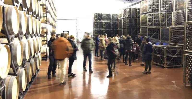Aranda de Duero: Martín Berdugo Winery - Tour and Tasting - What to Expect: Practical Details