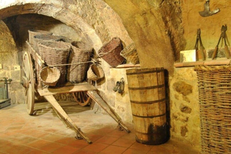 Aranda de Duero: Tour of Underground Cellar and Wine Museum - Aranda de Duero: Tour of Underground Cellar and Wine Museum