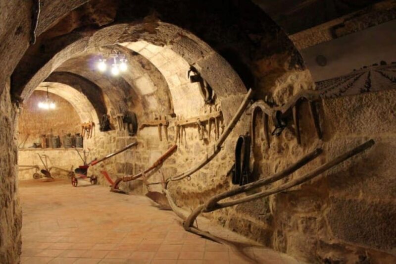 Aranda de Duero: Tour of Underground Cellar and Wine Museum - Key Points