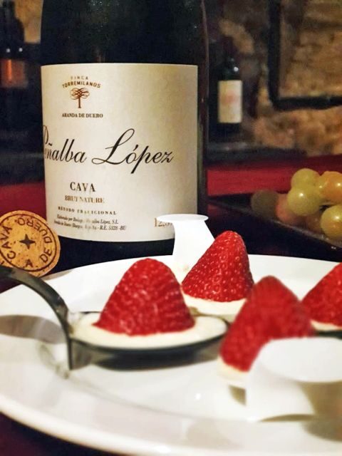 Aranda de Duero: Wine Pairing Tasting Course & Mini Tapas - Who Will Love This Tour?