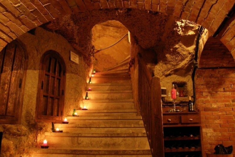 Aranda de Duero: Wine Tasting Course with Iberian Tasting - Final Thoughts
